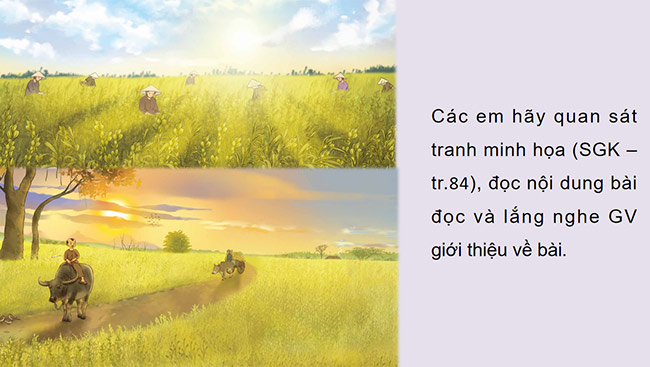 PowerPoint Đọc: Mùa vừng