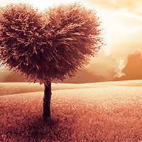 PowerPoint Tiếng Việt 5: Mở rộng vốn từ Hạnh phúc