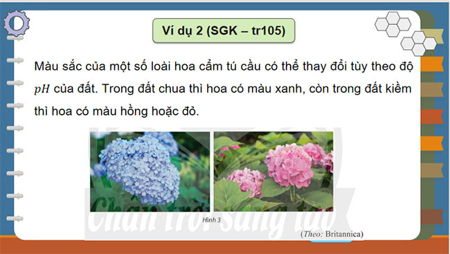 Ứng dụng lôgarit vào đo lường độ pH của dung dịch