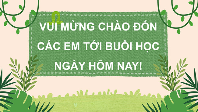 PowerPoint Đọc: Ngày xuân Phố Cáo