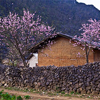 PowerPoint Tiếng Việt 5: Ngày xuân Phố Cáo