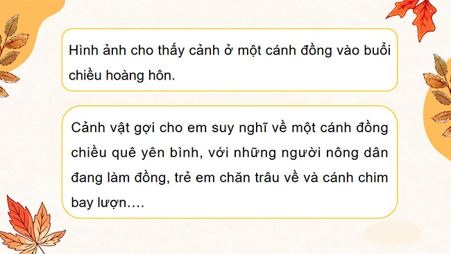 PowerPoint Đọc: Chiền chiện bay lên