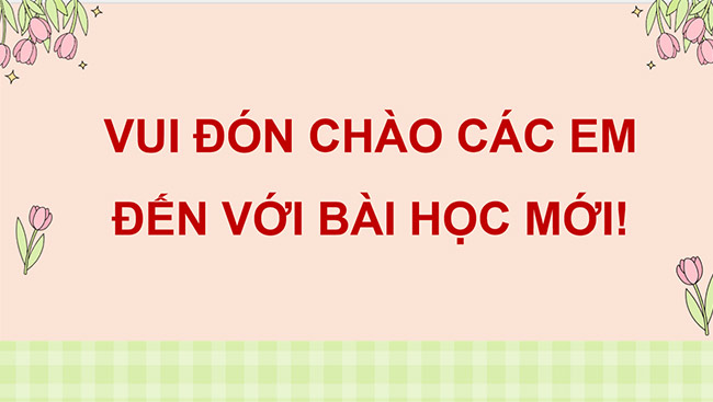 PowerPoint Luyện tập sử dụng từ ngữ