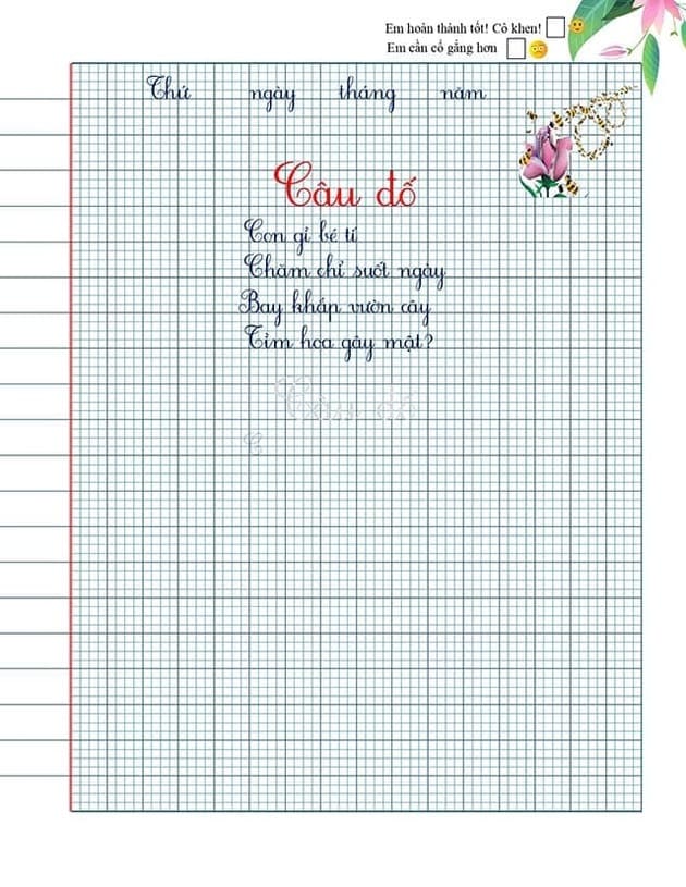 mau vo luyen viet chu dep 4*440802