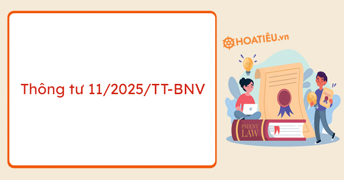 Thông tư 11/2025/TT-BNV quy định chi tiết Luật Bảo hiểm xã hội tự nguyện