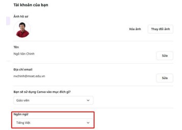 Cách sử dụng Canva Pro Education để thiết kế