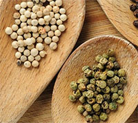 Giáo án mầm non: Khám phá một số mùi vị