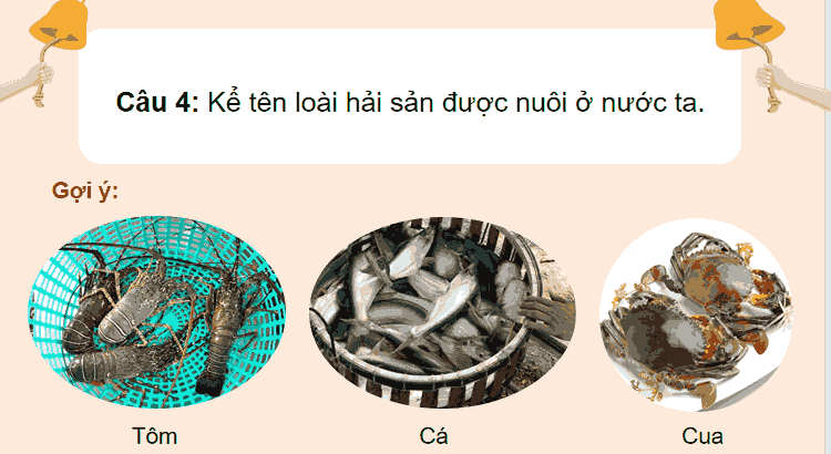 Dân cư và hoạt động sản xuất ở vùng duyên hải miền Trung