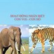Giáo án mầm non: Nhận biết con voi con hổ
