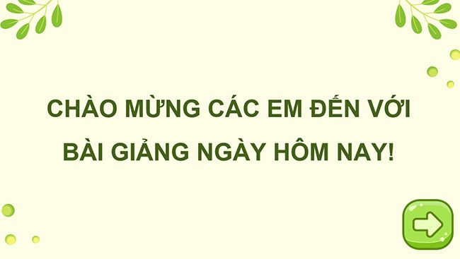 PowerPoint Hạt nảy mầm