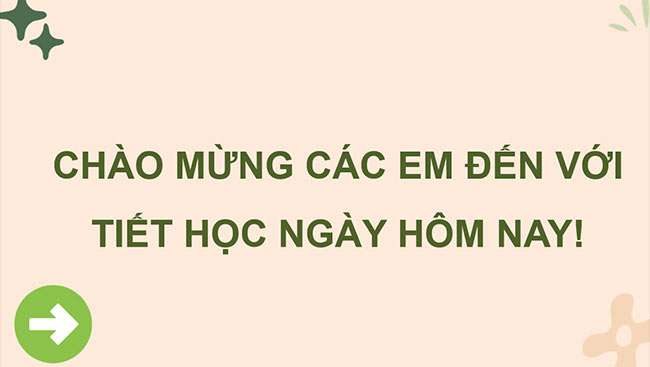 PowerPoint Ôn tập giữa học kì I (Tiết 1)