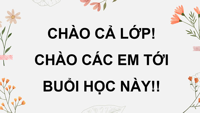 PowerPoint Viết đoạn văn thể hiện tình cảm, cảm xúc (Cấu tạo của đoạn văn)