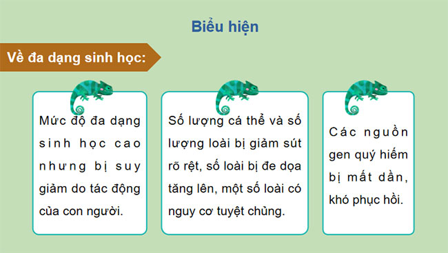 Giáo án PowerPoint Địa lí 12 Cánh diều Bài 5