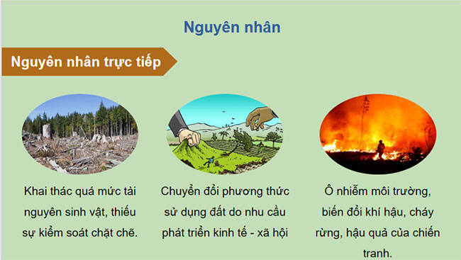 Giáo án PowerPoint Địa lí 12 Cánh diều Bài 5