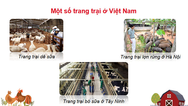 Giáo án PowerPoint Địa lí 12 Bài 11 Cánh diều