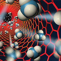 PowerPoint Khoa học tự nhiên 7: Bài tập Chủ đề 4 