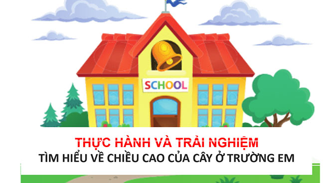 PowerPoint Tìm hiểu về chiều cao của cây ở trường em