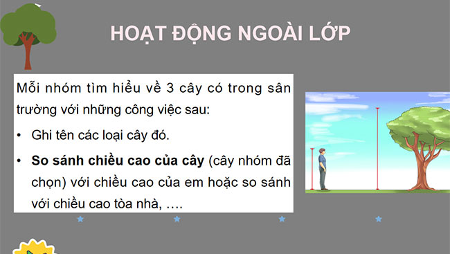 PowerPoint Tìm hiểu về chiều cao của cây ở trường em