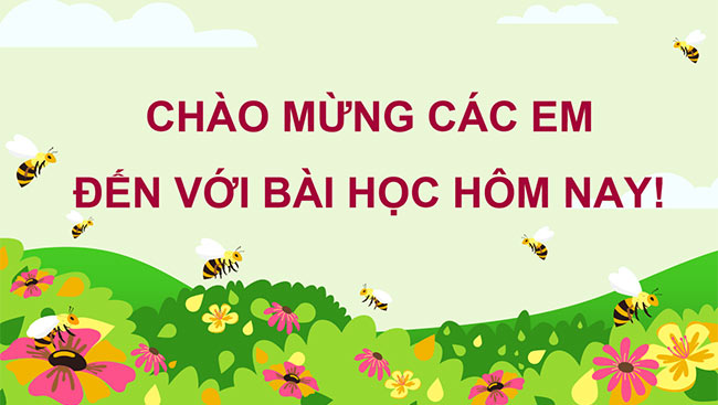 PowerPoint Ôn tập phép cộng, phép trừ