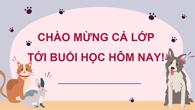 PowerPoint Tìm số hạng