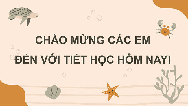 PowerPoint Tìm số bị trừ, tìm số trừ