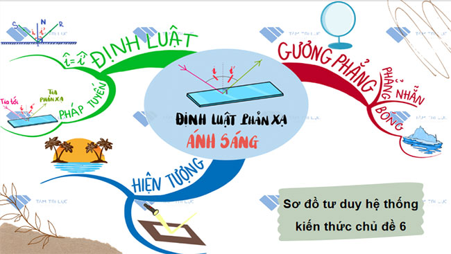 Giáo án PowerPoint KHTN 7 Cánh diều Bài tập Chủ đề 6