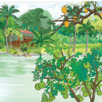 PowerPoint Tiếng Việt 4 Bài 8: Cây trái trong vườn Bác