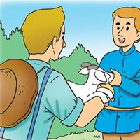 PowerPoint Tiếng Việt 5 Bài 8: Người chăn đê và hàng xóm