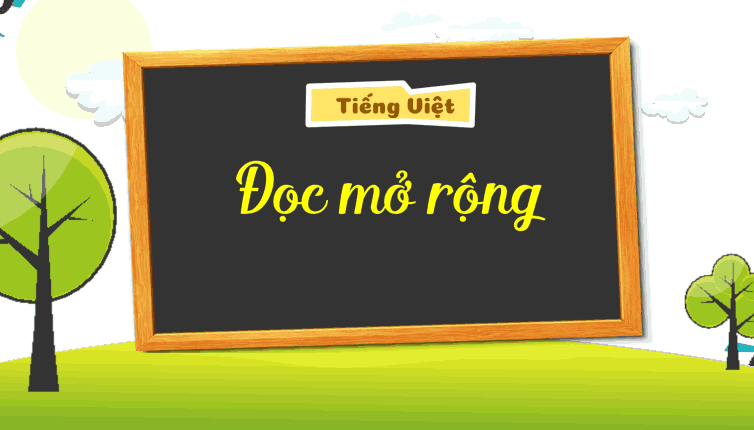 Giáo án Tiếng Việt lớp 5 Bài 14: Đọc mở rộng