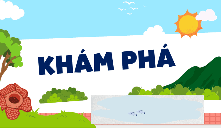 Bài 14: Viết đoạn văn tả phong cảnh