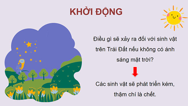 PowerPoint Ánh sáng với đời sống