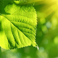 PowerPoint Khoa học 4 Bài 9: Ánh sáng với đời sống