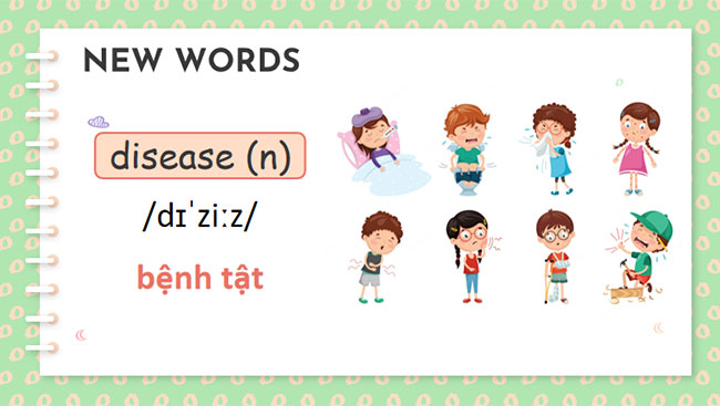 Giáo án Tiếng Anh 7 Unit 2: Skills 1