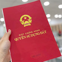 Mẫu đơn sang tên sổ đỏ