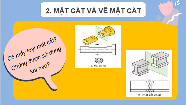 Mặt cắt và hình cắt