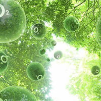 PowerPoint Khoa học tự nhiên 6 Bài 11: Oxygen. Không khí