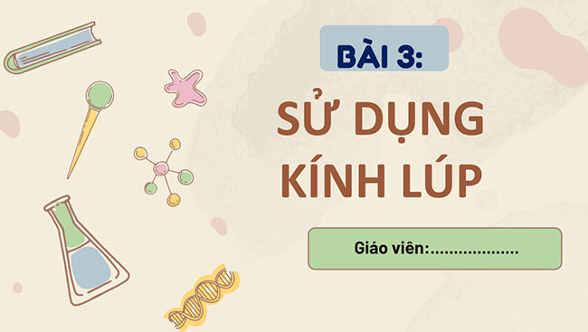 PowerPoint Khoa học tự nhiên 6 Sử dụng kính lúp