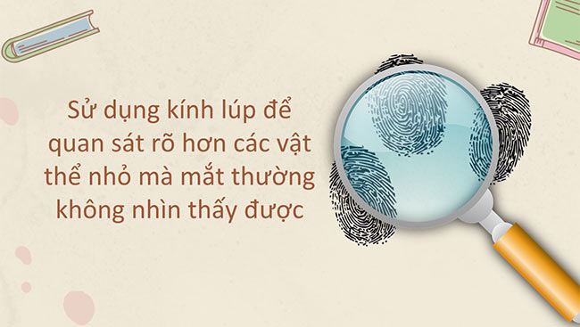 PowerPoint Khoa học tự nhiên 6 Sử dụng kính lúp