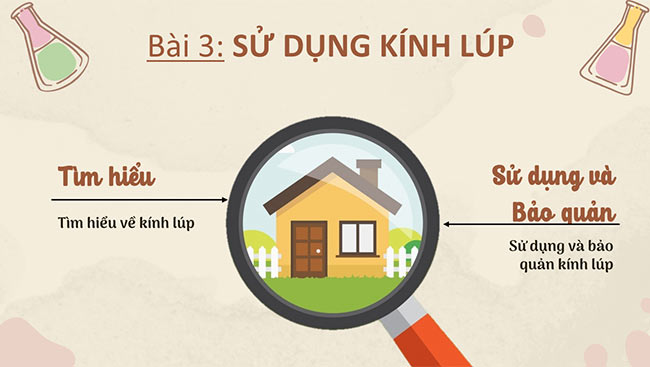 PowerPoint Khoa học tự nhiên 6 Sử dụng kính lúp