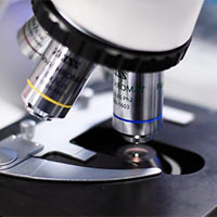 PowerPoint Khoa học tự nhiên 6 Bài 4: Sử dụng kính hiển vi quang học