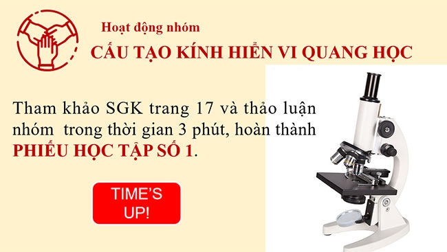 PowerPoint Khoa học tự nhiên 6 Sử dụng kính hiển vi quang học