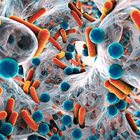 PowerPoint Khoa học tự nhiên 6 Bài 9: Sự đa dạng của chất