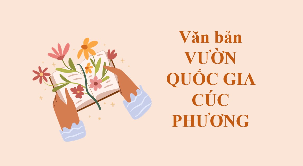 PowerPoint Bài Vườn quốc gia Cúc Phương Văn 9 CTST