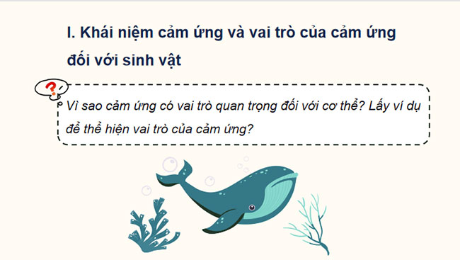 Khái quát về cảm ứng và cảm ứng ở thực vật
