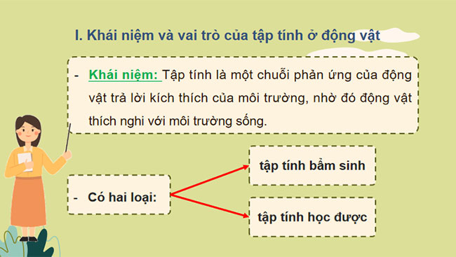 Cảm ứng ở động vật