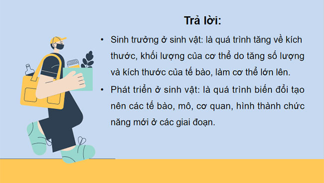 Khái quát về sinh trưởng và phát triển ở sinh vật