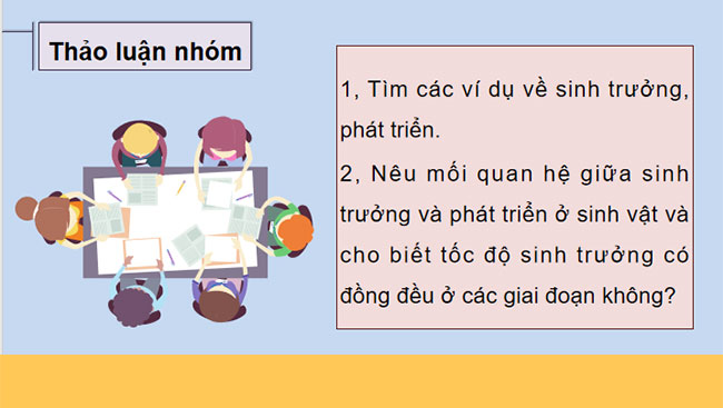 Khái quát về sinh trưởng và phát triển ở sinh vật