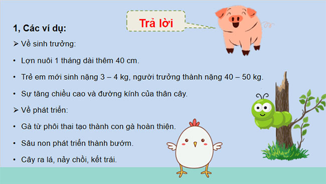 Khái quát về sinh trưởng và phát triển ở sinh vật