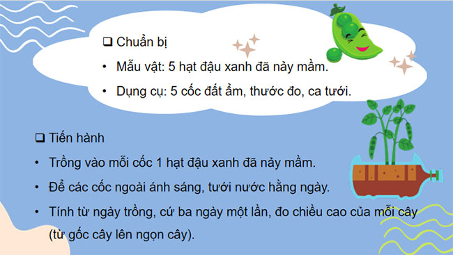 Sinh trưởng và phát triển ở thực vật