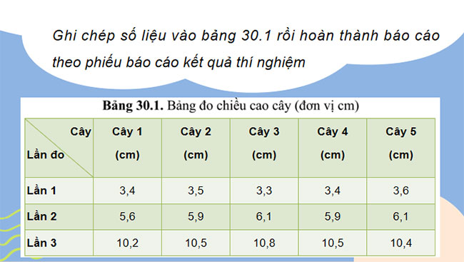 Sinh trưởng và phát triển ở thực vật